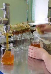 Разнорабочие на производство мёда 